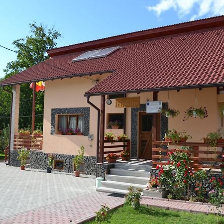 Arnota Vila Costesti  Exterior foto