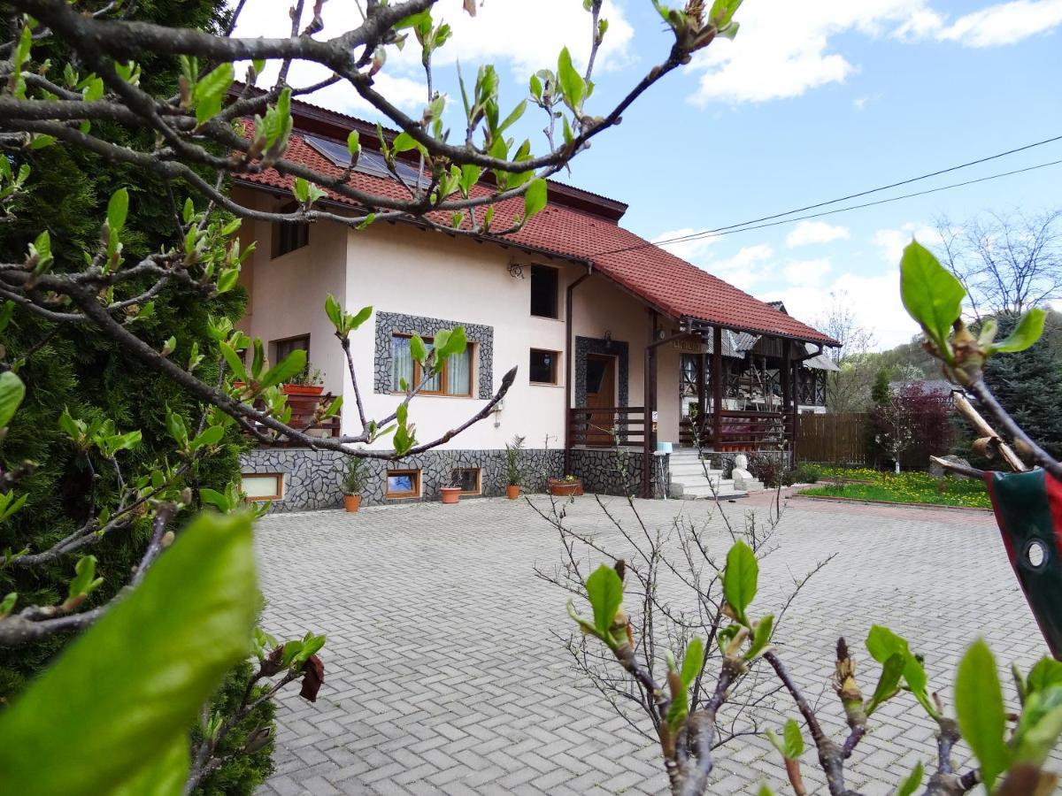 Arnota Vila Costesti  Exterior foto