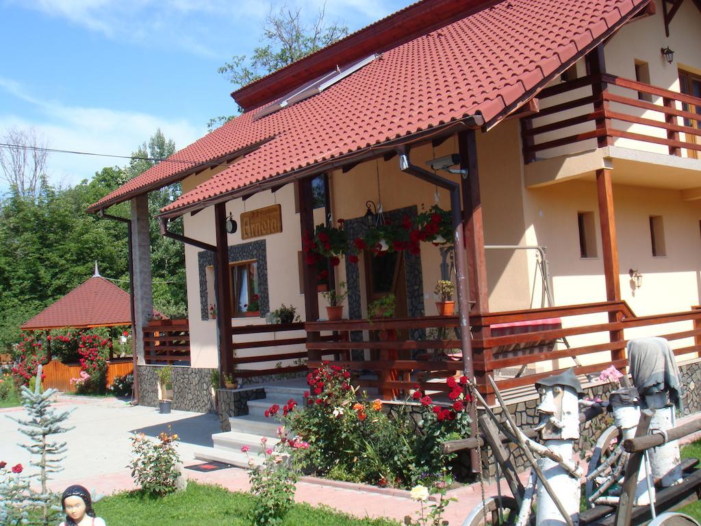 Arnota Vila Costesti  Exterior foto
